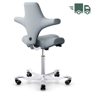 HAG Capisco 8106 Stoff Select grau - Gestell silber HAG Capisco 8106 Stoff Select grau - Gestell silber