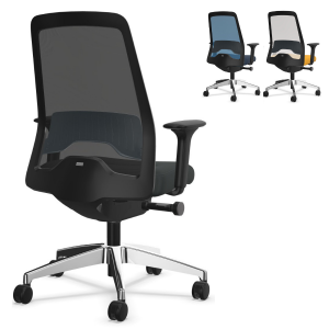 Interstuhl EVERYis1 (EV21C) Bürostuhl Netzrücken Comfort - Komplettausstattung - Express Modell Interstuhl EVERYis1 (EV21C) Bürostuhl Netzrücken Comfort - Komplettausstattung - Express Modell