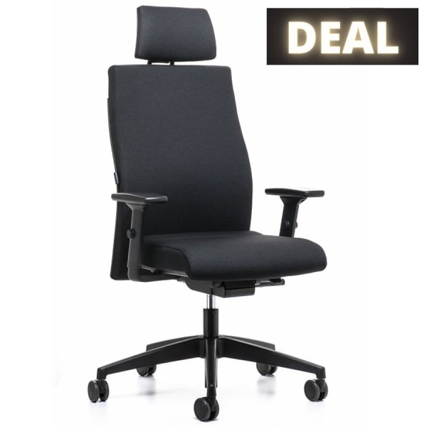 Aktionsmodell Ergonomic 179RS mit Kopfstütze
