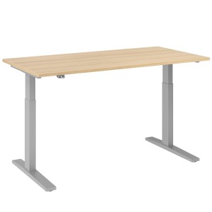 RWH Action Schreibtisch elektrisch verstellbar - Eiche hell-silber - Breite 160 cm RWH Action Schreibtisch elektrisch verstellbar - Eiche hell-silber - Breite 160 cm