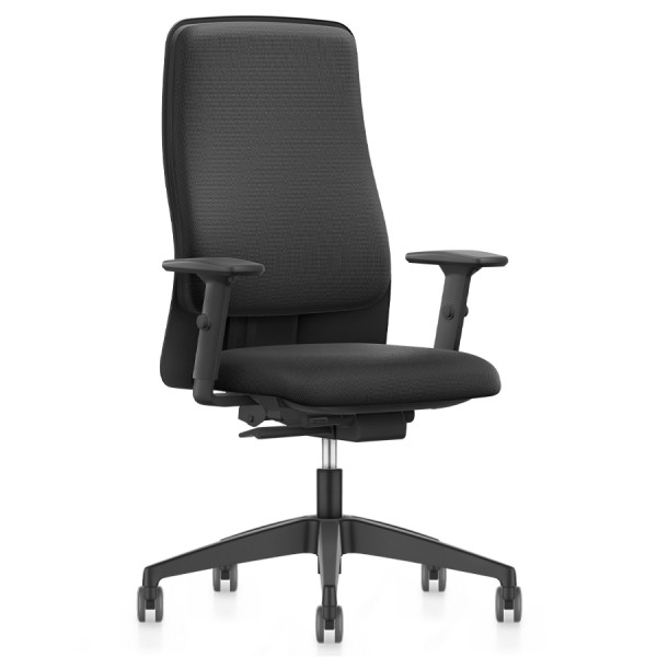 Interstuhl Aktionsmodell Ergonomic 152II - Front