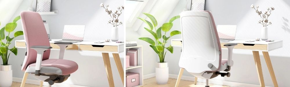 Banner-Interior-Edition-rosa