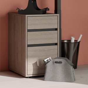 Palmberg Anstellcontainer Standcontainer Select - Nussbaum - Beispielbild Palmberg Anstellcontainer Standcontainer Select - Nussbaum - Beispielbild