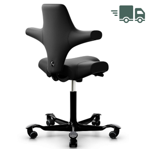 HAG CAPISCO 8106 Lederbezug schwarz Sattelsitz HAG CAPISCO 8106 Lederbezug schwarz Sattelsitz