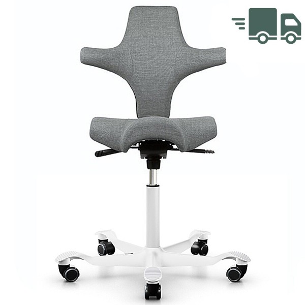 HAG Capisco Remix hellgrau - Gestell weiß