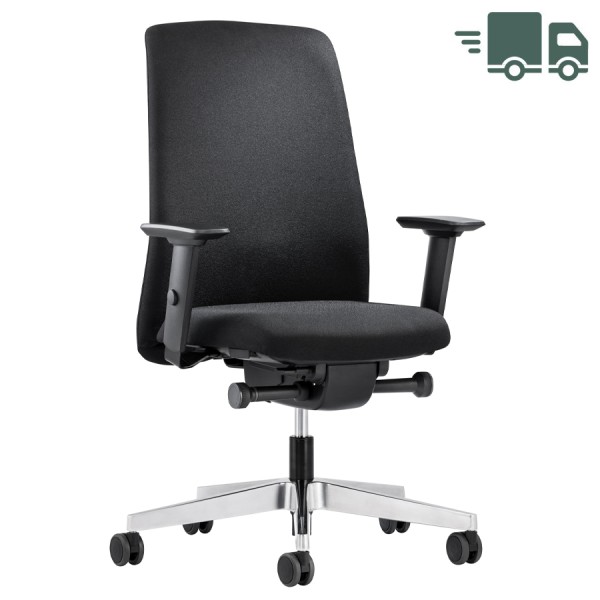 Interstuhl Aktionsmodell Ergonomic EV003 - Front