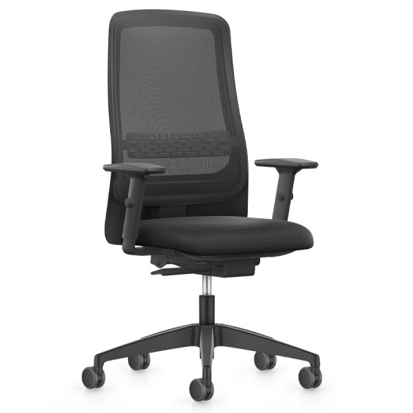 Interstuhl Aktionsmodell Ergonomic 172II - Front